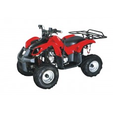 ATV 110cc XYST